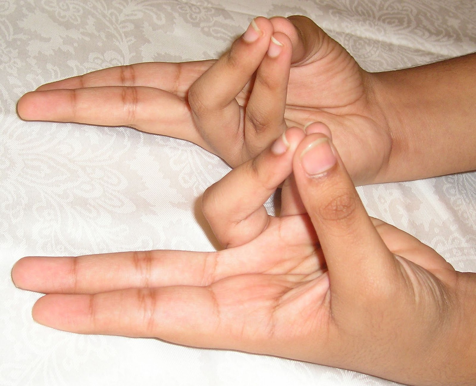 prana mudra